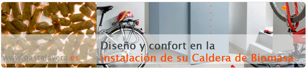 banner-instalacion-calderas-biomasa